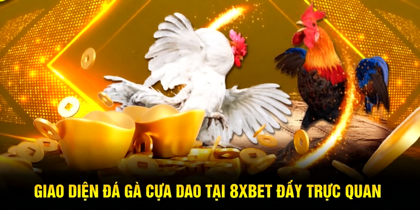 Giao diện đá gà cựa dao tại 8xbet đầy trực quan